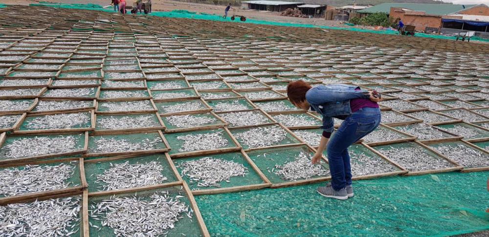 Bán Nhà máy chế biến hải sản Tuy Phong Bình Thuận
DT . 400m2/ 38 tỷ/2480936