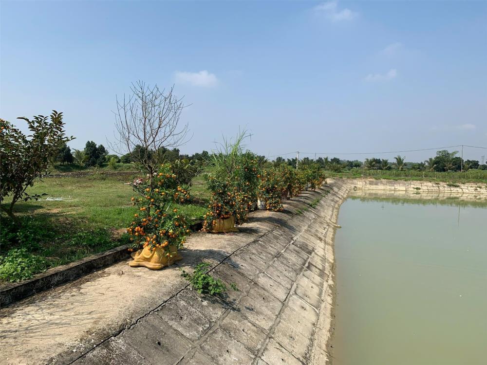 Bán trang trại nghỉ dưỡng 34856.8 M2 400M MẶT TIỀN Cách thị trấn Quán Lào Yên Định 1,5km- Giá tốt2592474