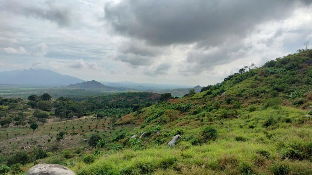 Bán trang trại view đẹp tại Xã Tân Lập, Hàm Thuận Nam, Bình Thuận, 30 tỷ, 225000 m22521272