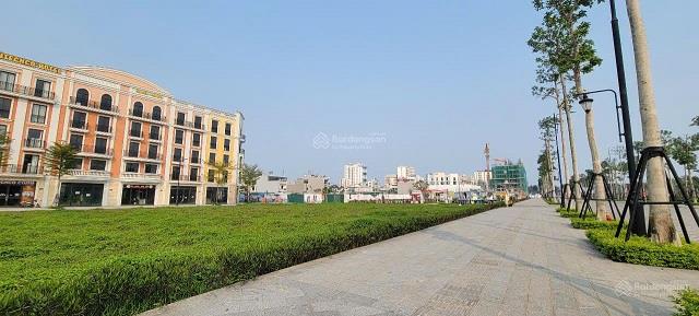 Bán đất đã có sổ đỏ đầy tiềm năng cho nhà đầu tư ngay phố đi bộ Quảng trường biển Sầm Sơn2614736