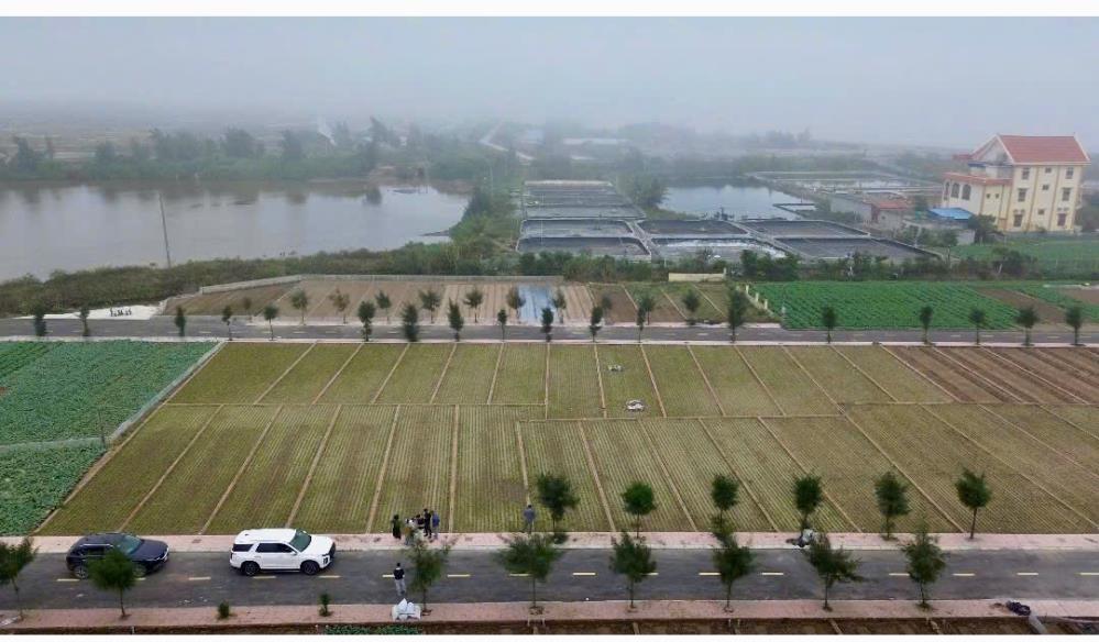 Chủ cần tiền bán đất ven biển Quất Lâm2607219