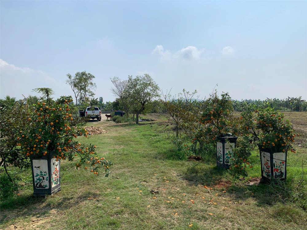 Bán trang trại nghỉ dưỡng 34856.8 M2 400M MẶT TIỀN Cách thị trấn Quán Lào Yên Định 1,5km- Giá tốt2592473