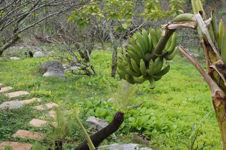 Bán Đất View Đẹp Tại Khu Du Lịch Cộng Đồng Tổ Vặt Hồng, P. Mường Sang, TX Mộc Châu2365753