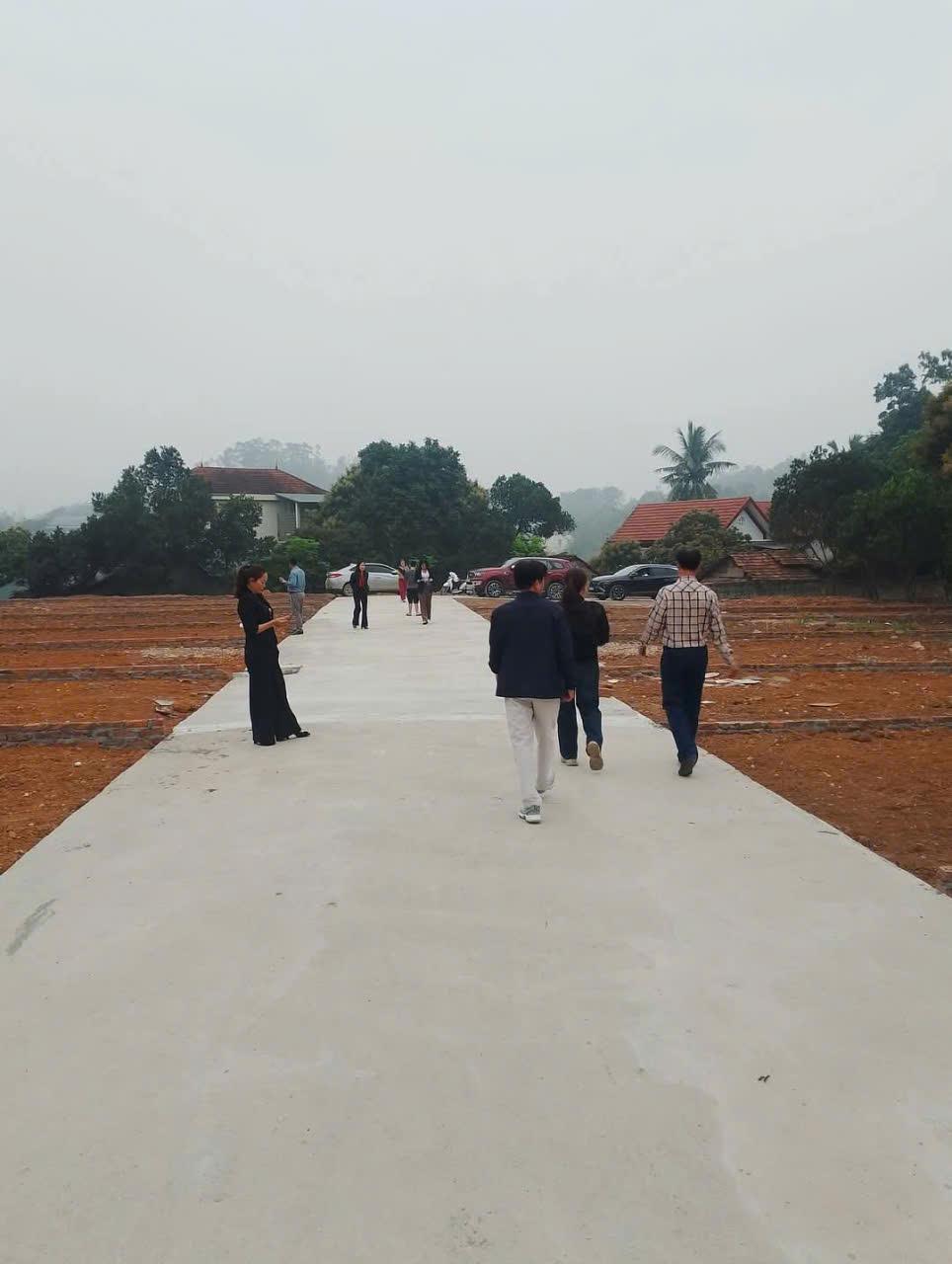 Chính Chủ Cần Bán 3 Lô Đất Mặt Tiền Vị Trí Đẹp Tại Vĩnh Phúc2600127