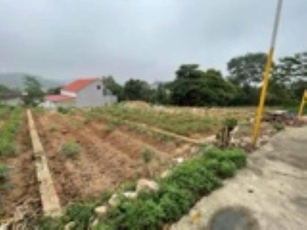 ĐẤT CHÍNH CHỦ - LÃI NGAY KHI MUA - Xã Châu Phong, TX Quế Võ, Tỉnh Bắc Ninh2642637