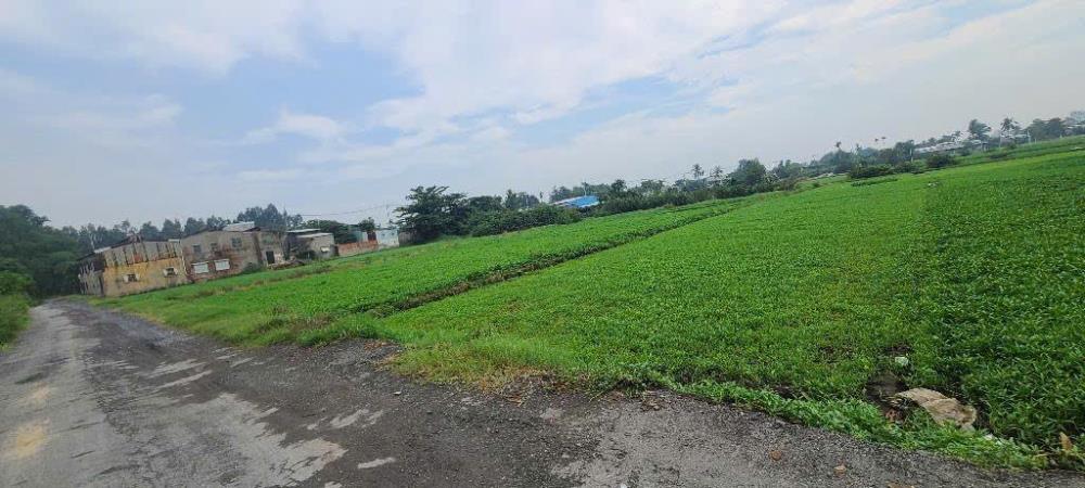 NHĨNH 35 TỶ GẤP BÁN HƠN 4.000M² ĐƯỜNG 6M THÔNG THẠNH XUÂN 14, Q122640807