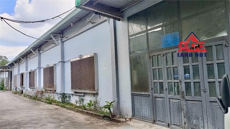 XT174 nhà xưởng sản xuất ngoài khu, kết cấu hệ tường xây cao 6m, xưởng trống giao liền2496146