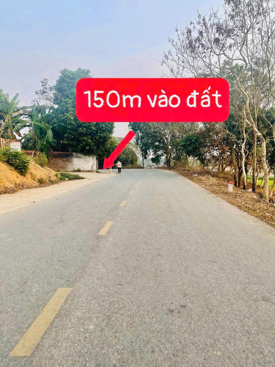 Chính chủ cần bán Nhanh Lô Đất Tại  Xã Hoàng Hoa, huyện Tam Dương, tỉnh Vĩnh Phúc.2481557