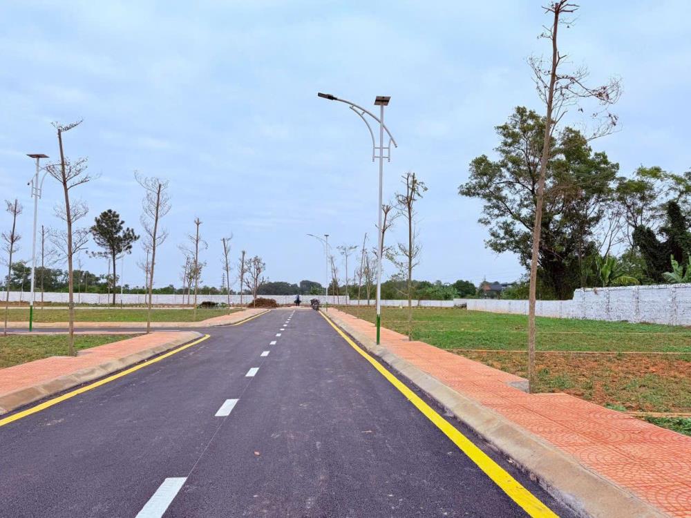 Lô Đất Vàng Sát Flamingo – Đường 10m – Giá Cực Tốt, Bán Nhanh Trong Tuần!2607703