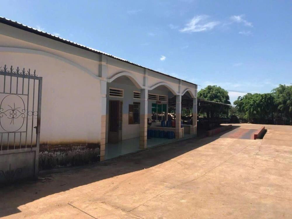 Gia đình tôi cần tiền nên bán Nhà máy chế biến cao su Giang Sơn. Tổng Diện tích 24.000m² thôn Phước Hòa xã Bình Tân Huyện Phú Riềng, tỉnh Bình Phước.2439072