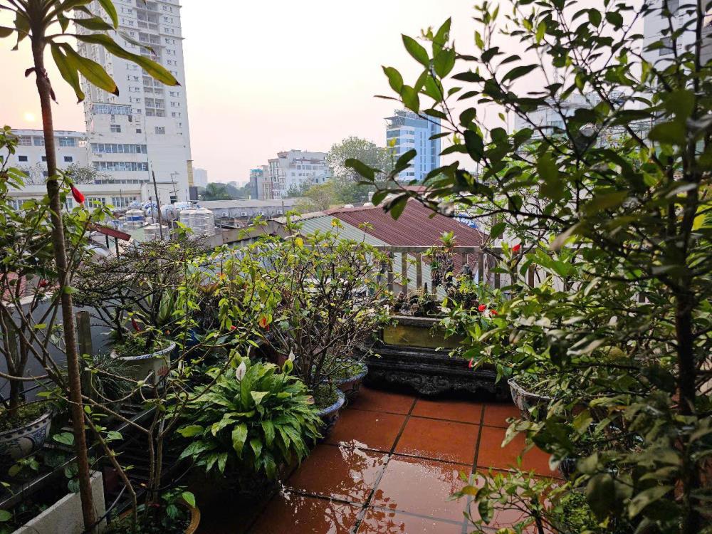 Cho thuê nhà Phố Đại Cổ Việt, 9 Triệu 4 tầng x 30m2, KD online ở hộ gia đình2619902