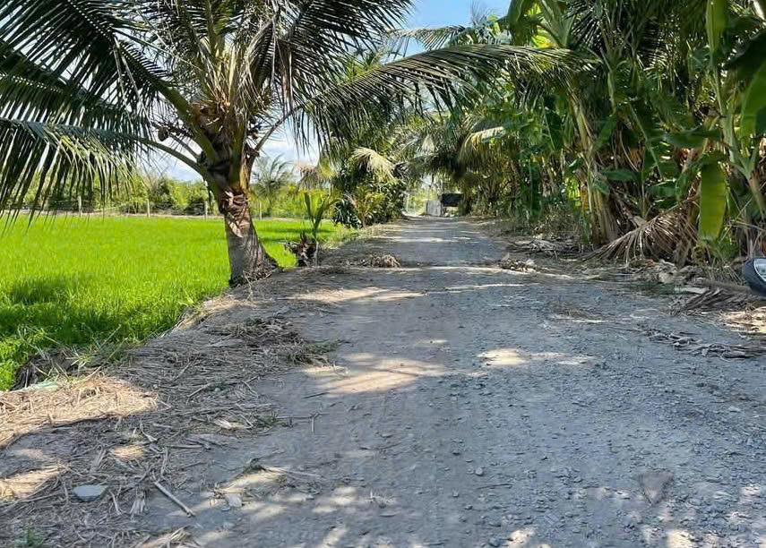 HÓT! HÓT! HÓT ! ĐẤT ĐẸP - GIÁ YÊU THƯƠNG -  Vị Trí Tại : Hiệp Đức  - Cai Lậy - Tiền Giang2542378