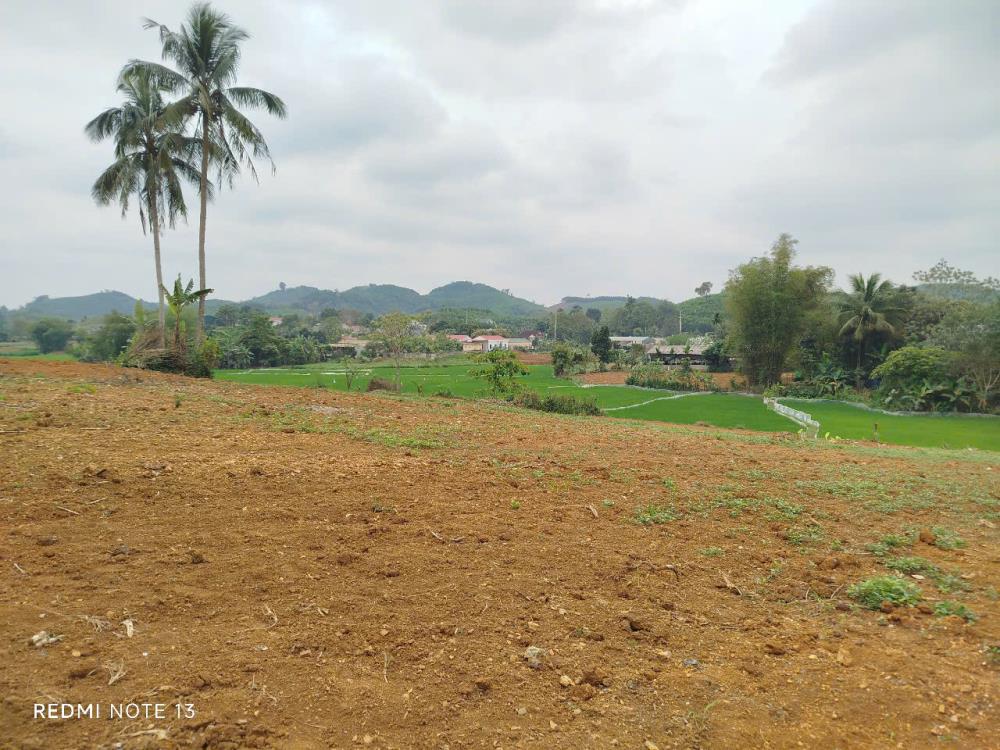 Đất nền cạnh sân bay Sao Vàng Thọ Xuân Thanh Hóa giá rẻ cần bán gấp.2577421
