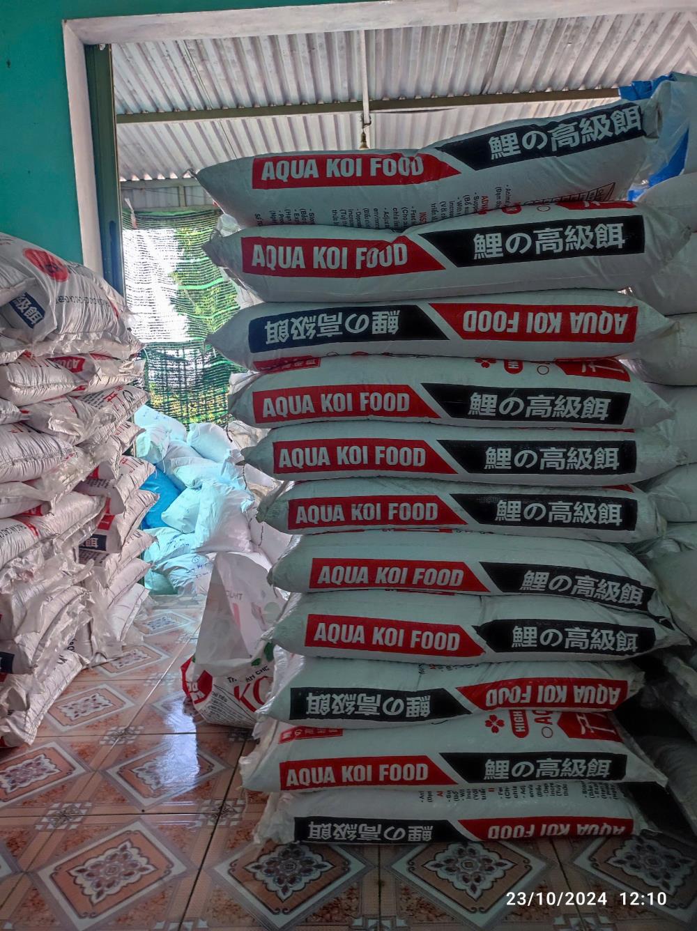 Một hồ Koi đẳng cấp không chỉ là biểu tượng của nghệ thuật sống, mà còn thể hiện gu thẩm mỹ và sự tận tâm của người chơi. Với Aqua Koi, cá không chỉ phát triển vượt trội, bơi lội mạnh mẽ mà còn lên màu sắc nét, đạt chuẩn ánh kim rực rỡ như những tuyệt tác đến từ Nhật Bản.2551335