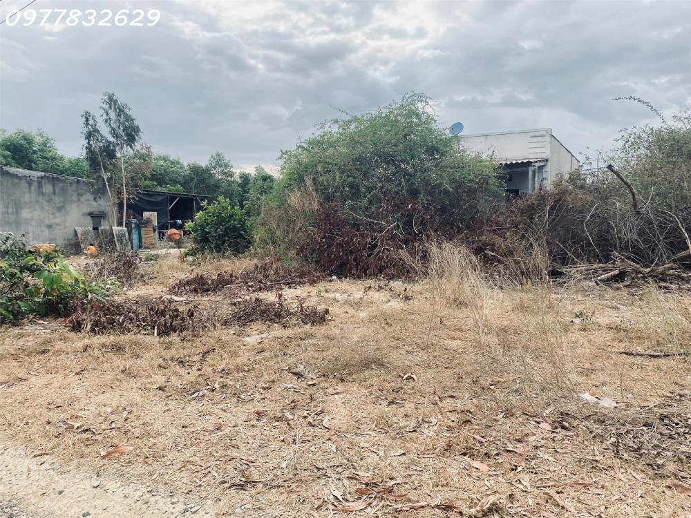 Bán 3.1 sào đất Tân Phước - TX LaGi giá rẻ nhất sổ riêng ngay dân cư2438549