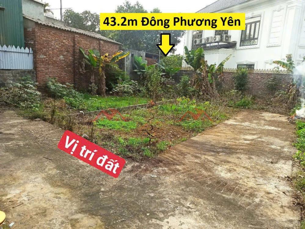 CHÍNH CHỦ BÁN LÔ ĐẤT 43,2M TẠI ĐÔNG PHƯƠNG YÊN-CHƯƠNG MỸ-HÀ NỘI2626639