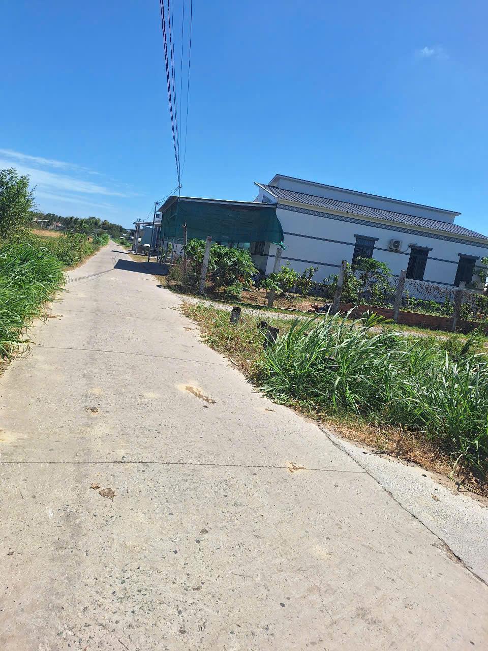 ĐẤT ĐẸP- GIÁ TỐT CHÍNH CHỦ CẦN BÁN NHANH lô đất đẹp- giá tốt tại huyện Ba Tri, tỉnh Bến Tre2516118
