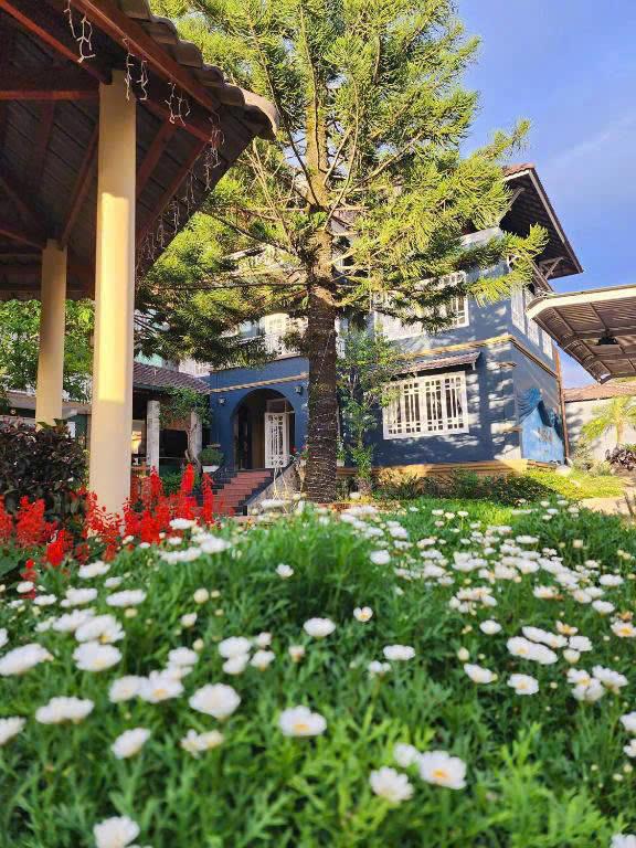 CHO THUÊ VILLA SÂN VƯỜN HÙNG VƯƠNG PHƯỜNG 9 TP ĐÀ LẠT 30TR/THÁNG2380160