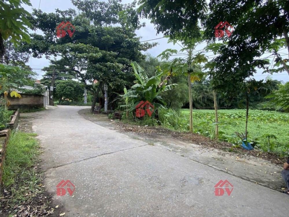 CHÍNH CHỦ BÁN LÔ ĐẤT 65,7M TẠI THỤY HƯƠNG-CHƯƠNG MỸ-HÀ NỘI2623104