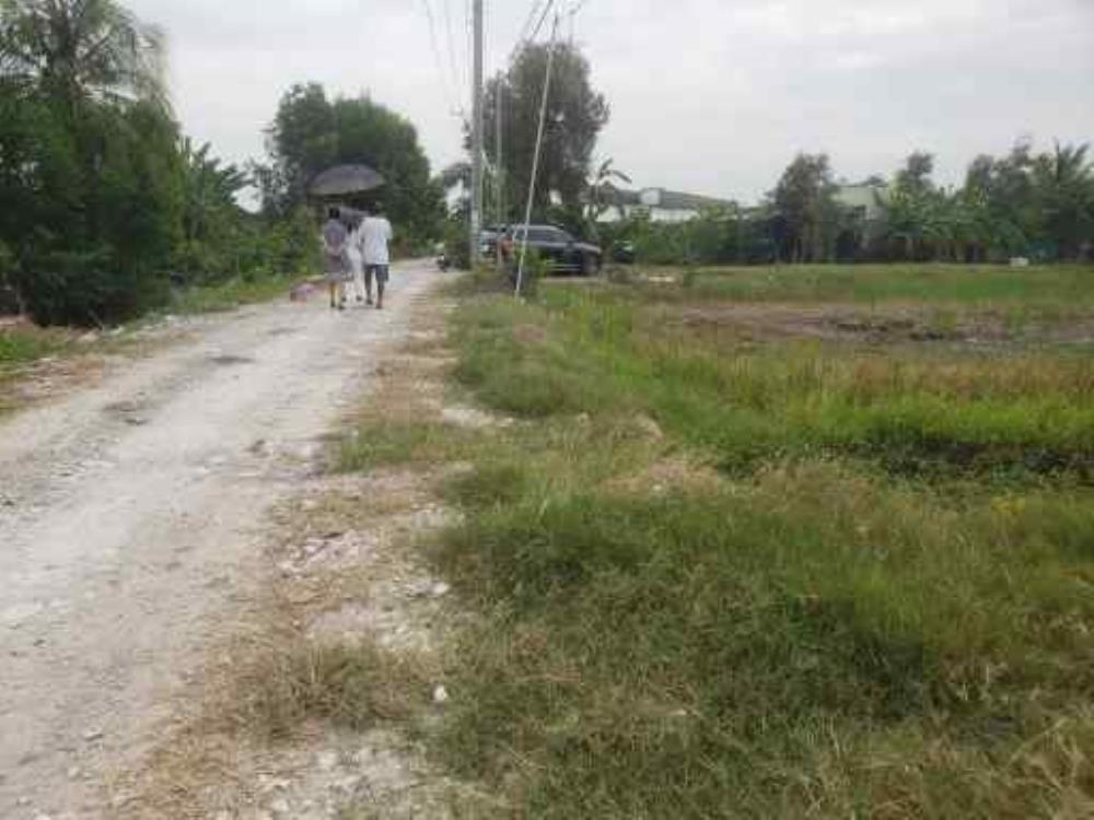 Bán Đất Đồng Nai Giá Rẻ Thích Hợp Cho Đấu Tư 20252512473