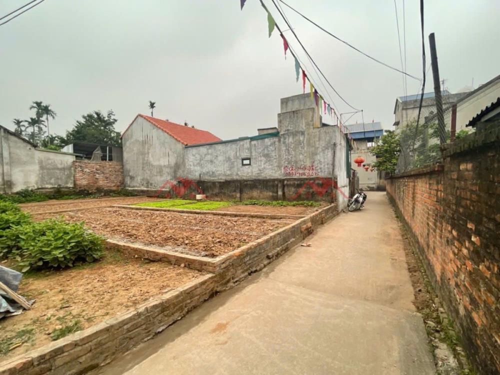CHÍNH CHỦ BÁN LÔ ĐẤT 4OM TẠI THỤY HƯƠNG-CHƯƠNG MỸ-HÀ NỘI2620430