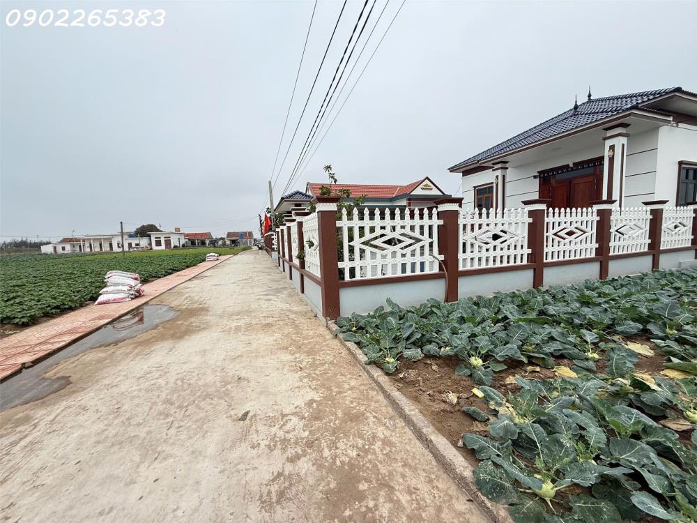 Chính chủ cần bán gấp đất nền 101m2 xã Giao phong giá rẻ siêu hời 800 triệuVNĐ2605195