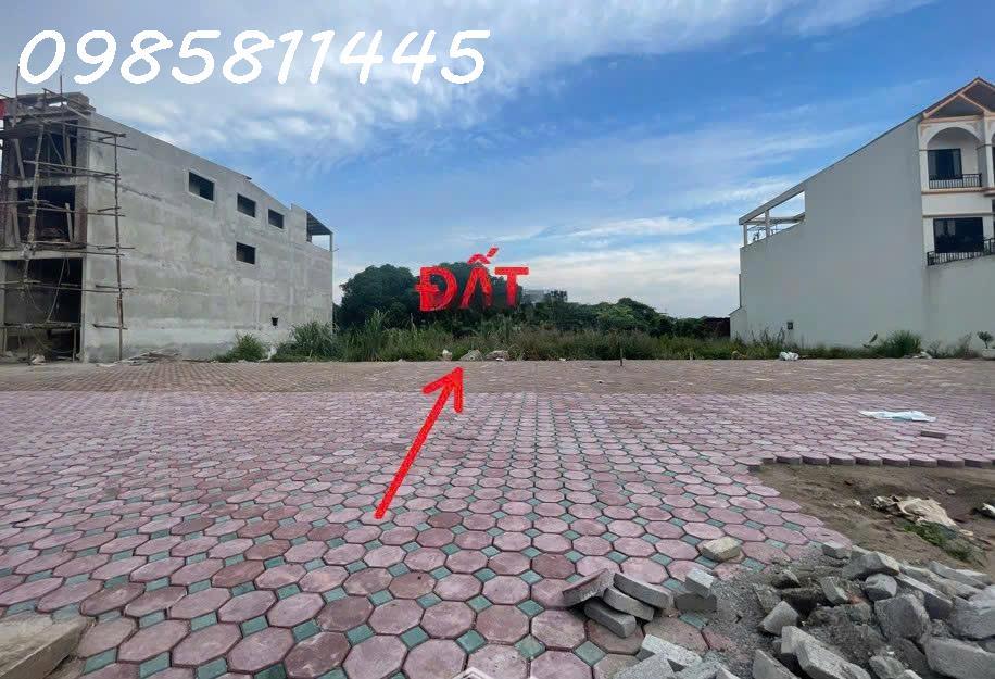 Bán Đất Đẹp Tại Đường Tỉnh Lộ 381, Giai Phạm, Yên Mỹ, Hưng Yên, Chỉ Với 6,8 Tỷ, 124M22538850
