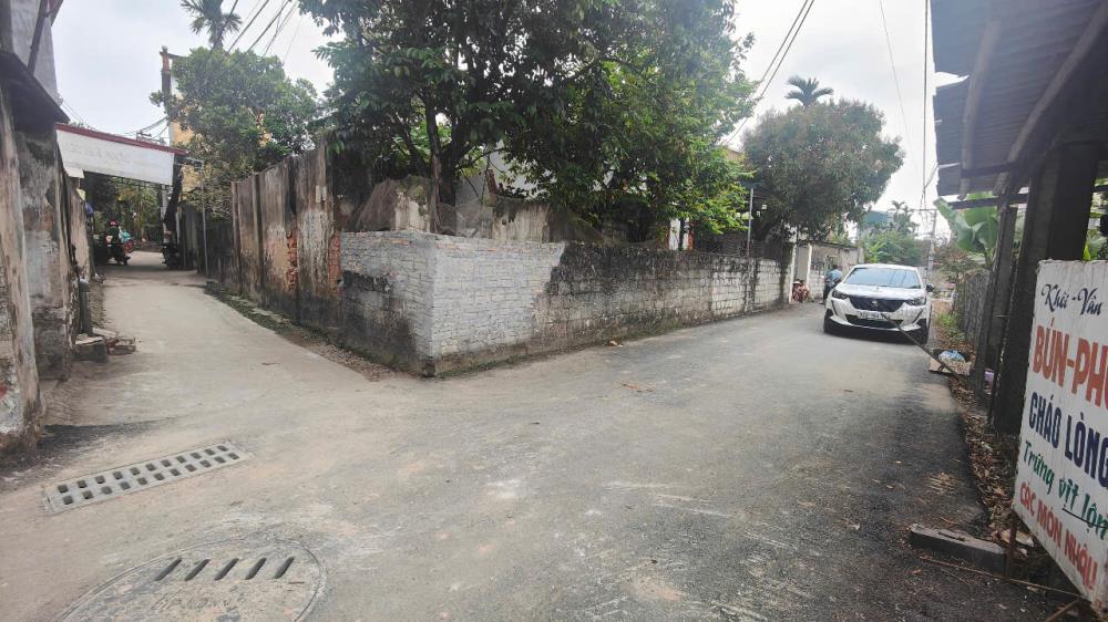 Nắm bắt cơ hội sở hữu ngay lô đất vàng tại Tổ dân phố Đan Tiên Tân, Phường Tân Hiệp! 🎉2614182
