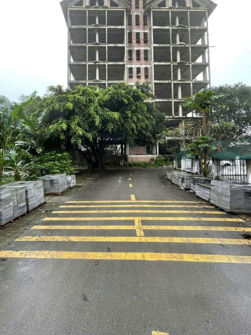 SIÊU PHẨM CỰC HÓT – CHÍNH CHỦ BÁN LÔ ĐẤT 70M2 MẶT CHỢ CẦU HUYỆN ( CHỢ TRUNG TÂM TP HOA LƯ ), NINH MỸ, NINH BÌNH - 3Tỷ1002512105