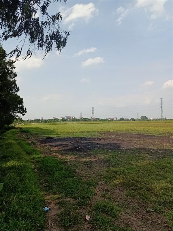 Bán 1,1ha đất kho nhà xưởng 50 năm tại Huyện Cẩm Giàng, Tỉnh Hải Dương2336585