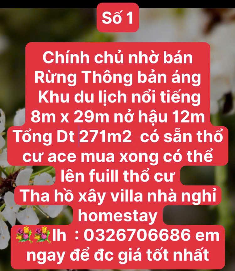 2000M2 ĐẤT HÀNG VIP FULL TC KHU DU LỊCH BẢN ÁNG ĐÔNG SANG MỘC CHÂU - LÀM HOME QUÁ ĐỈNH2536374