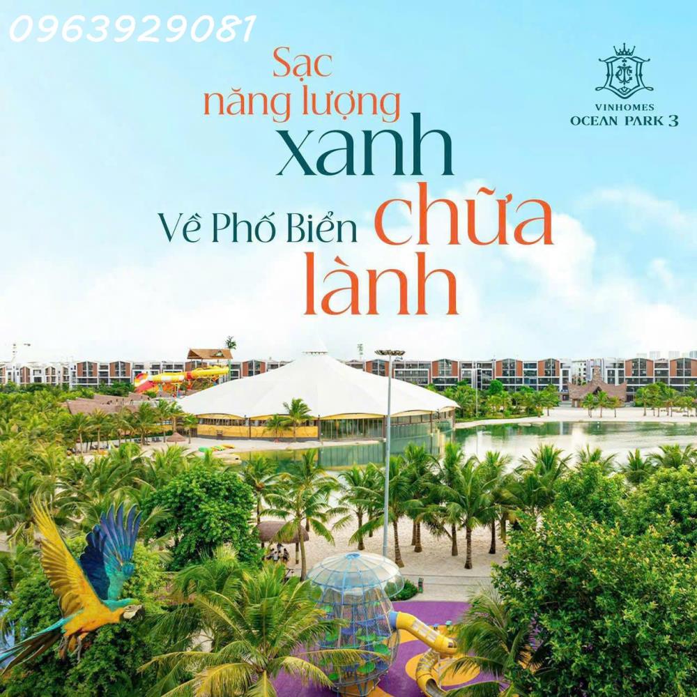 Phân khu Phố Biển - 2 mặt phố - Vinhomes Ocean Park 3.2582063