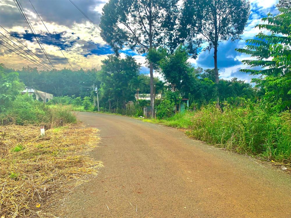 BÁN VƯỜN ĐIỀU 2,7 SÀO (2730M2) VIEW SÔNG DÂN THƯA, 200M RA NHỰA, CÔNG NGHIỆP GIÁ 190TR/S.2325841