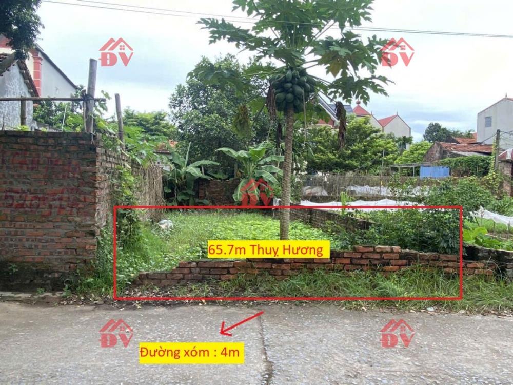 CHÍNH CHỦ BÁN LÔ ĐẤT 65,7M TẠI THỤY HƯƠNG-CHƯƠNG MỸ-HÀ NỘI2623103