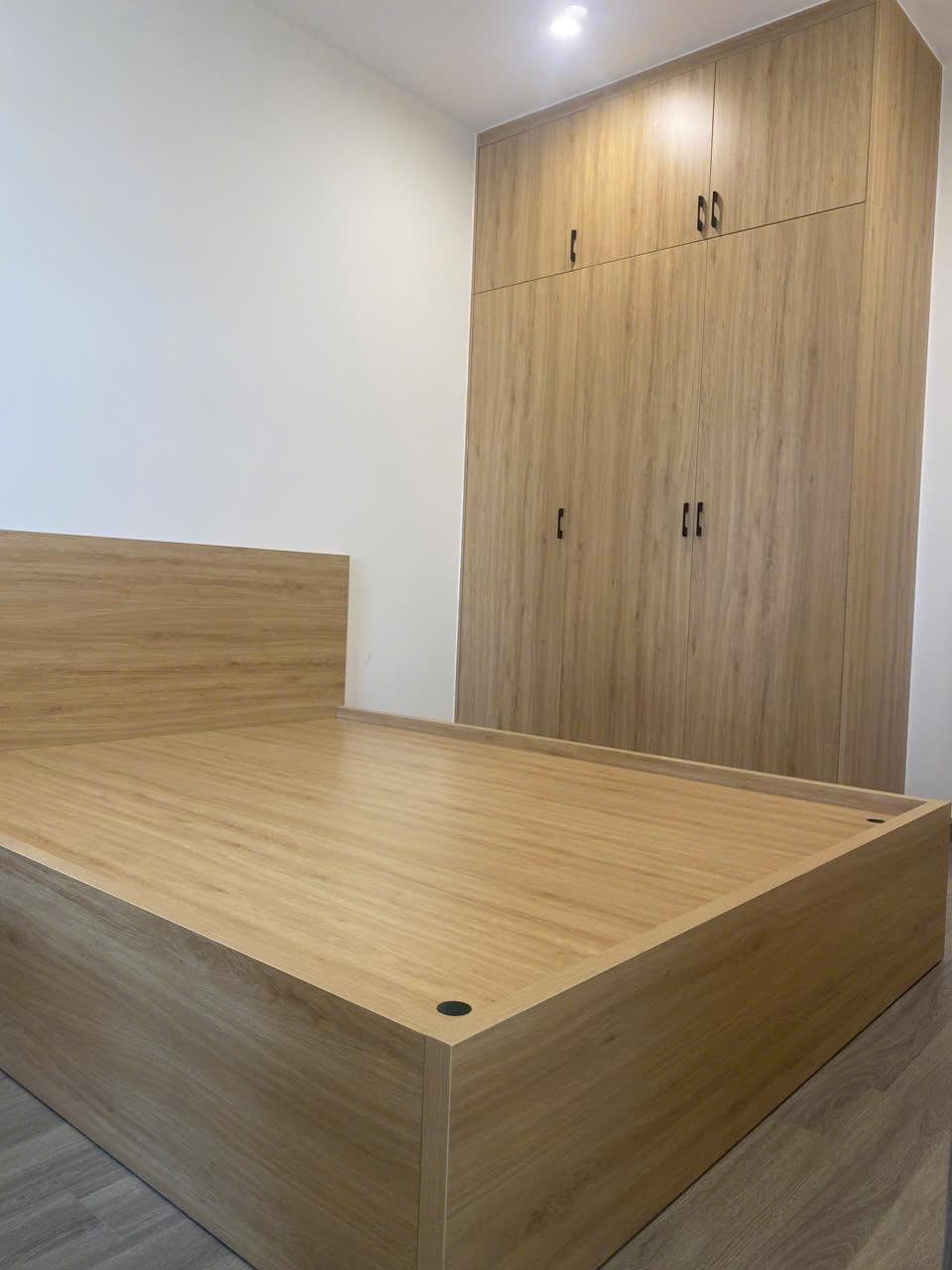 Cho thuê căn hộ 2PN BS10-15.24 The Beverly Solari Q9 HCM2394663
