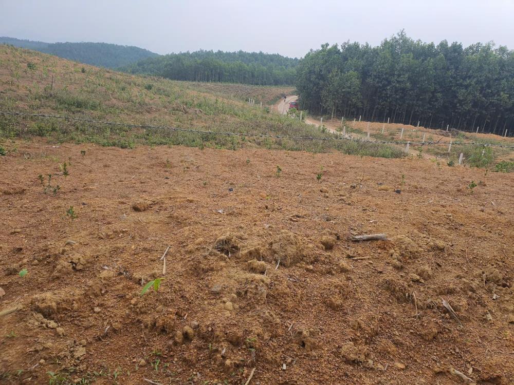 ĐẤT RỪNG ĐẸP - GIÁ TỐT - Vị Trí Đắc Địa Tại Xóm Hồng, Xã Bảo Hiệu, Huyện Yên Thủy, Tỉnh Hoà Bình2625248