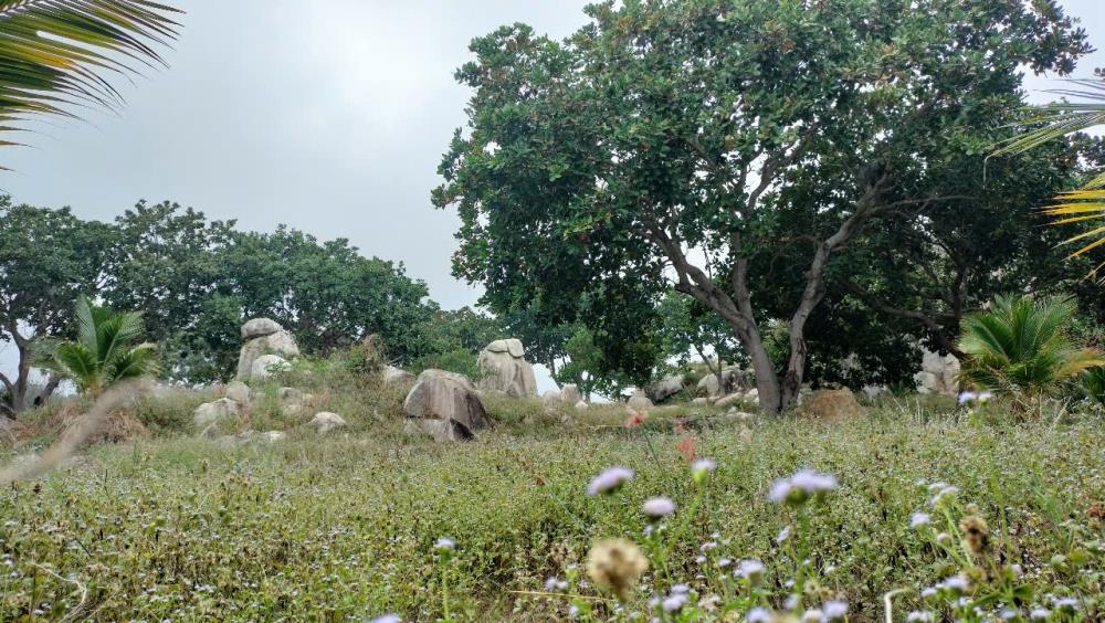 Bán trang trại view đẹp tại Xã Tân Lập, Hàm Thuận Nam, Bình Thuận, 30 tỷ, 225000 m22521275