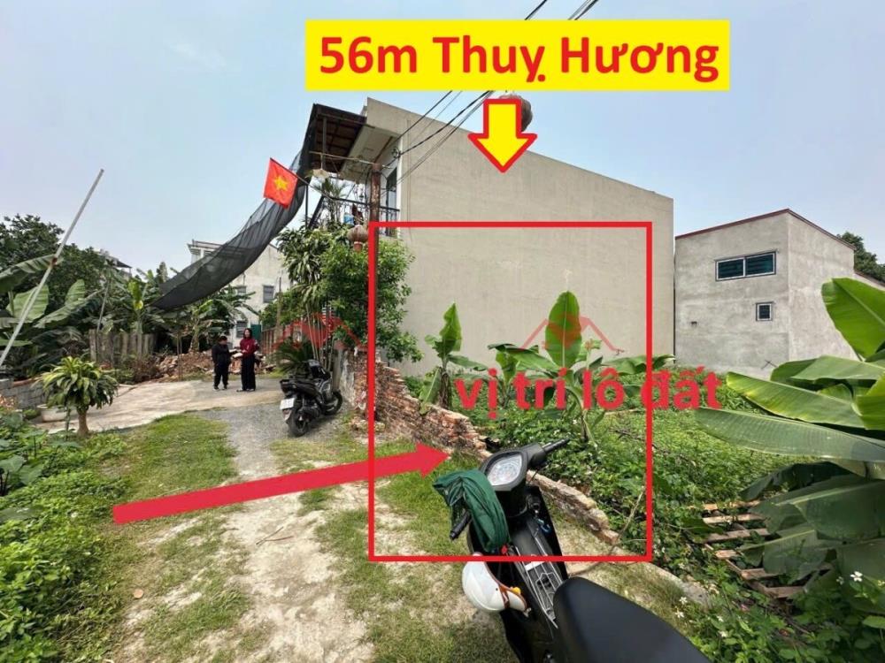 CHÍNH CHỦ BÁN LÔ ĐẤT 56M TẠI THỤY HƯƠNG-CHƯƠNG MỸ-HÀ NỘI2620378