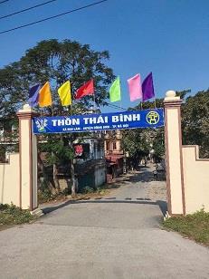 Cần Bán Đất Tại Thôn Thái Bình - Xã Mai Lâm -Đông Anh -Hà Nội2565414