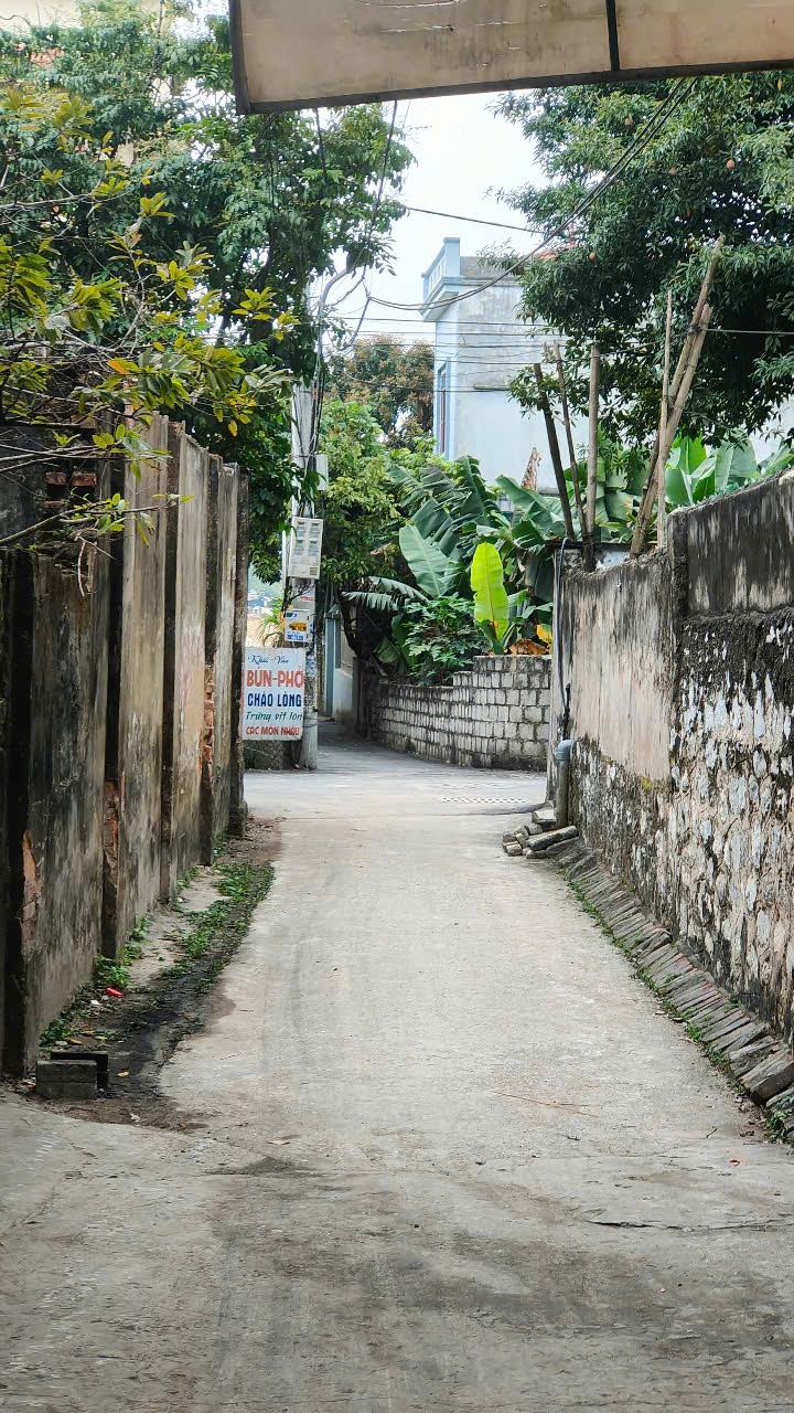 Nắm bắt cơ hội sở hữu ngay lô đất vàng tại Tổ dân phố Đan Tiên Tân, Phường Tân Hiệp! 🎉2614184