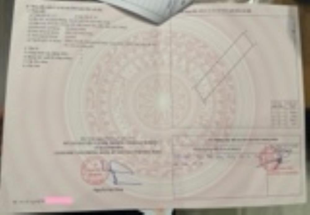 ĐẤT CHÍNH CHỦ - LÃI NGAY KHI MUA - Xã Châu Phong, TX Quế Võ, Tỉnh Bắc Ninh2642636