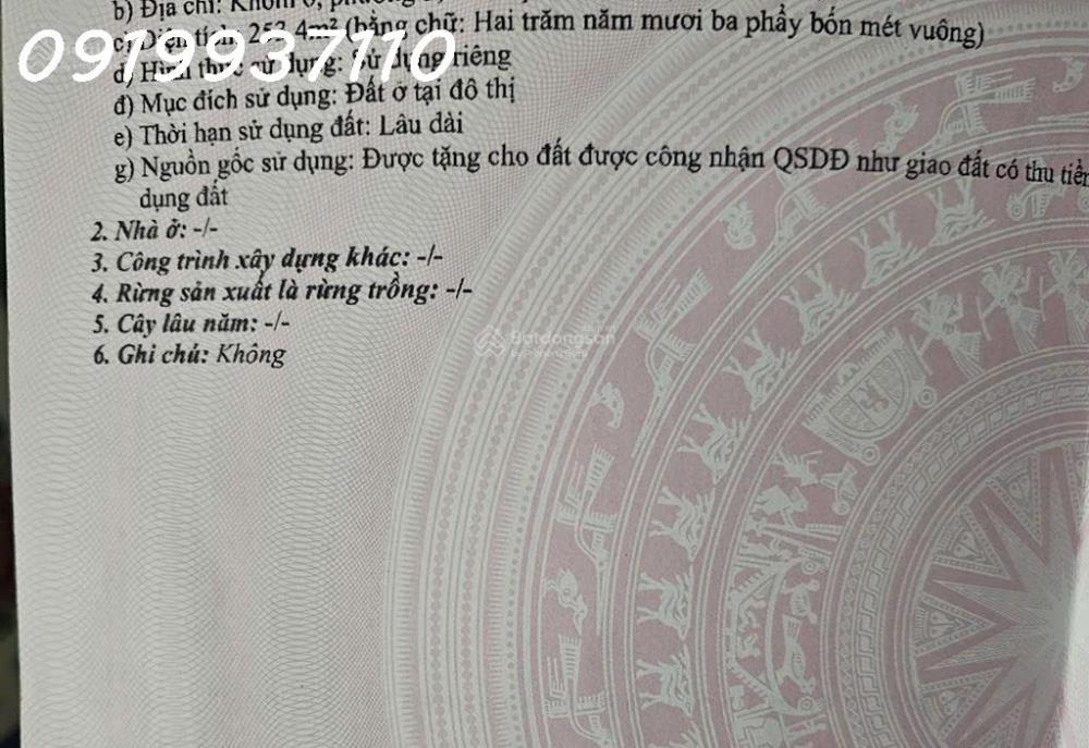 Cho thuê nhà 9.9m x 25.6m mặt tiền đường Trần Hưng Đạo, Phường 5, TP Cà Mau2478247