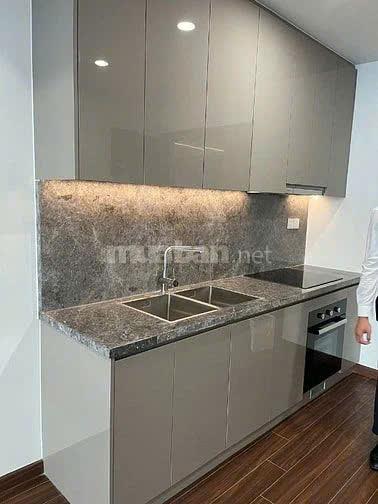 CHÍNH CHỦ CHO THUÊ CĂN HỘ CHUNG CƯ TÒA H1 MASTERISE WATERFRONT2484933