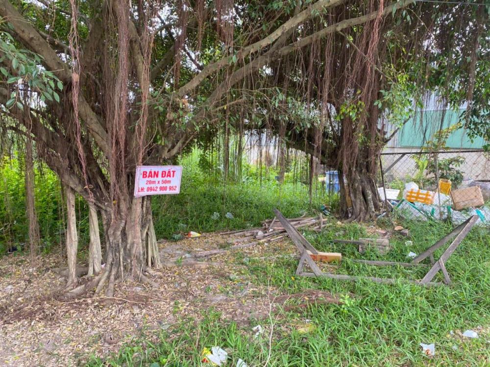 CHÍNH CHỦ Bán Nhanh Đất Tại Phường 8, Thành phố Cà Mau, Cà Mau2451336