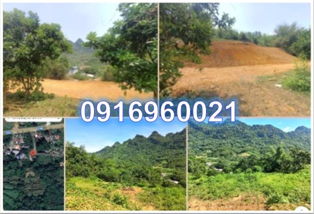 CHÍNH CHỦ CẦN BÁN LÔ ĐẤT TẠI TÚ SƠN, HUYỆN KIM BÔI, HÀ BÌNH2572806