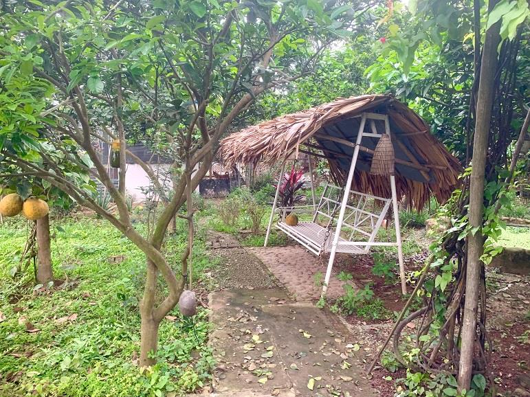 Bán đất khai hoang làm khu nghỉ dưỡng bãi sông hồng hoặc cho thuê đất để kinh doanh2383873