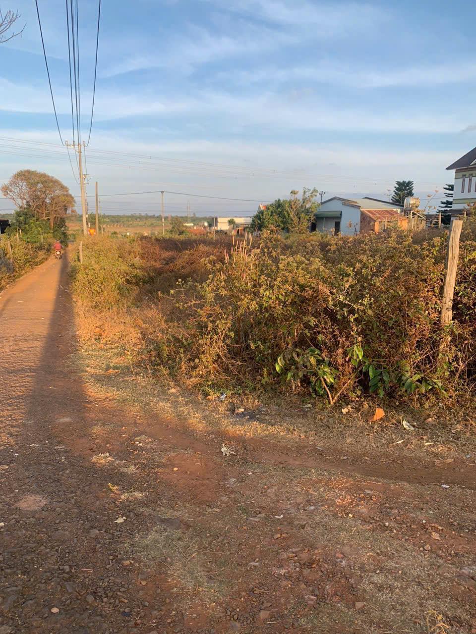 ĐẤT ĐẸP - GIÁ TỐT - CHÍNH CHỦ CẦN BÁN ĐẤT Mặt đường QL14 Xã Ia Rông, Huyện Chư Pưh, Tỉnh Gia Lai2365014