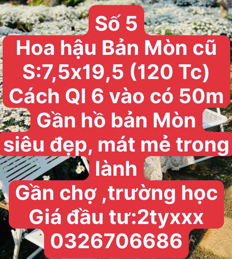THÍCH HỢP XÂY VILLA MINI TẠI RỪNG THÔNG MỘC CHÂU2495343