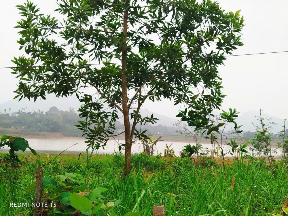 Đất nền đầu cơ giá rẻ tại Thanh Hóa cần bán gấp. Chỉ nhỉnh 200tr sở hữu ngay 1 lô  đất rộng 125m2.2561539