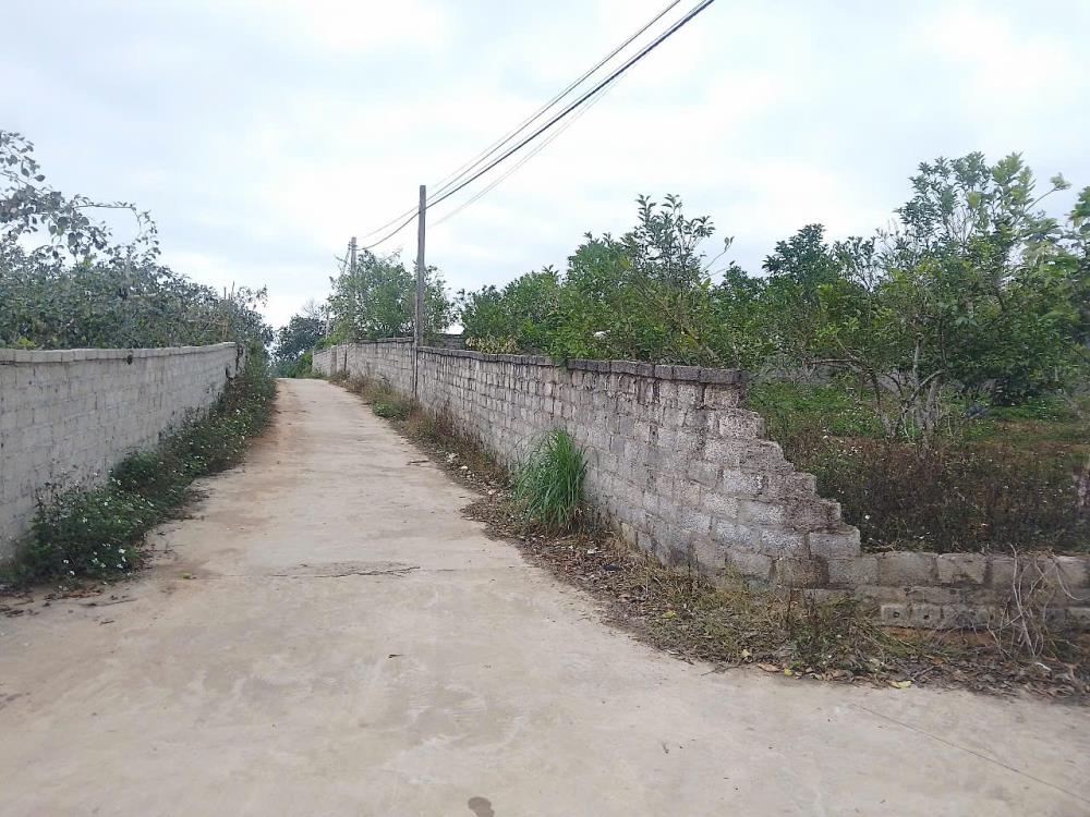 CẦN BÁN GẤP KHU ĐẤT ĐẸP PHƯỜNG THANH HẢI_THỊ XÃ CHŨ_BẮC GIANG2588954